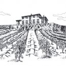 disegno a china vigna silvia ricotta